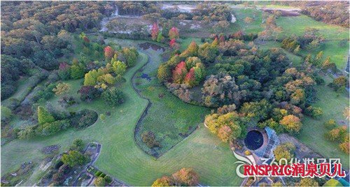 天堂植物农庄 化妆品原料 新鲜提取液 天堂植物提取液 植物护肤